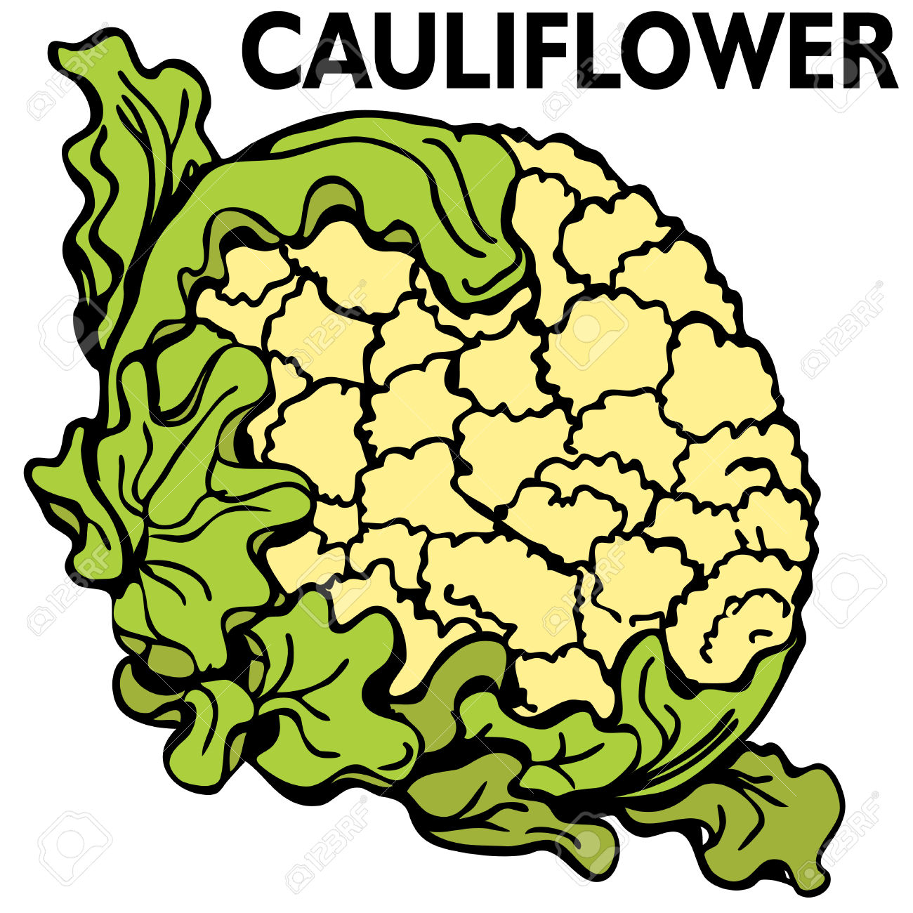 1300x1300 Cauliflower Clipart Sketch