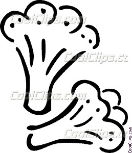 258x300 Cauliflower Vector Clip Art