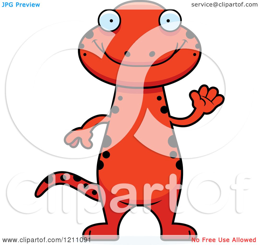 1080x1024 Orange Clipart Salamander
