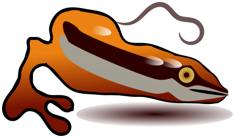 463x272 Orange Clipart Salamander