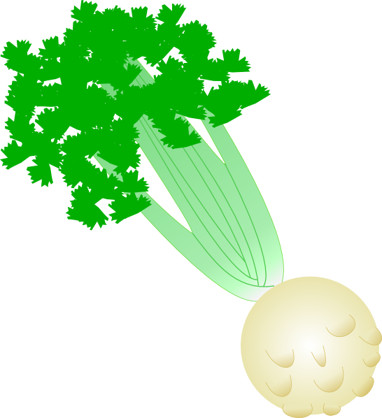 546x598 Celery Clip Art