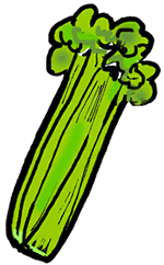 150x242 Celery Clipart