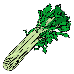 304x304 Clip Art Celery Color I Abcteach