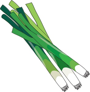293x300 Green Onions Clip Art Images Clipart Panda