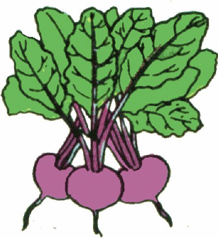 443x483 Vegetable Clip Art Celery