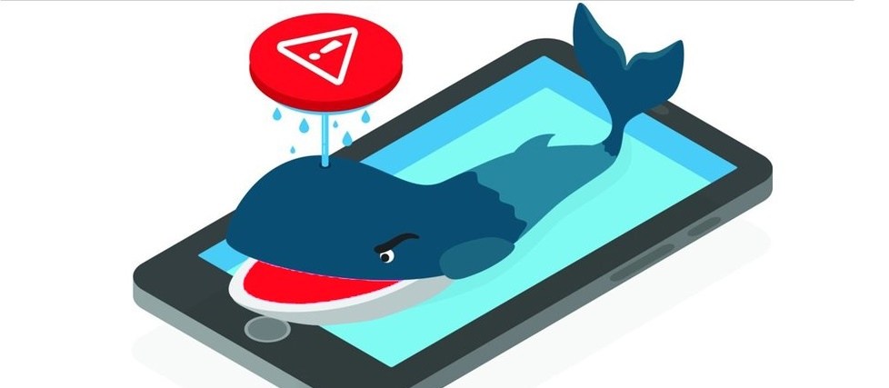 978x427 Parents Warned Of Blue Whale Online Challenge