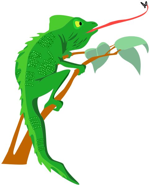 484x600 Chameleon Clip Art Download