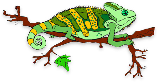 505x264 Chameleon Free Animated Animals Bird S Lizard Clipart