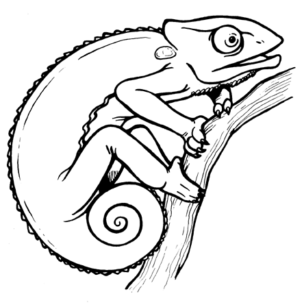 444x445 Image Of Anaconda Clipart 7 Chameleon Clip Art Clipartoons