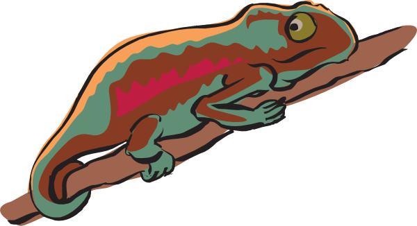 600x326 Multicolored Chameleon Clip Art