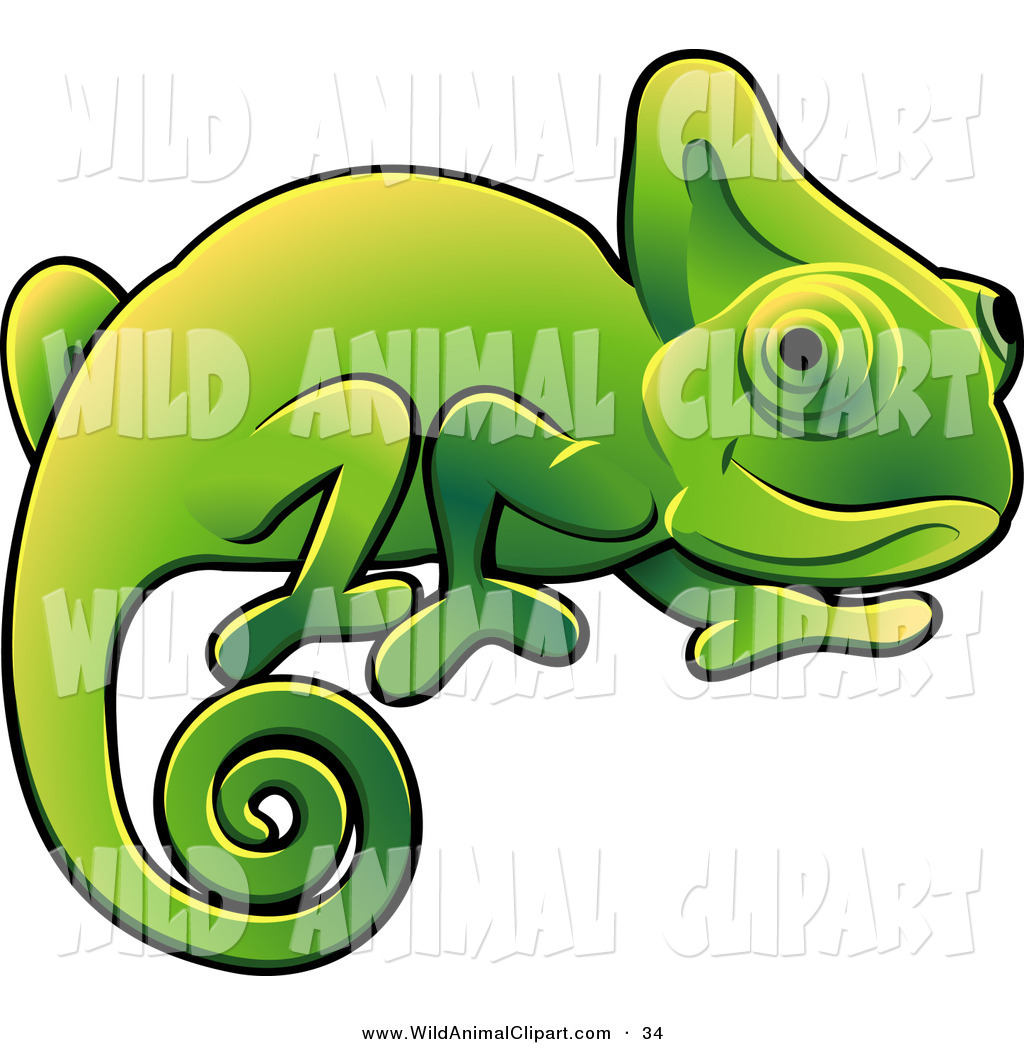 1024x1044 Chameleon Clip Art