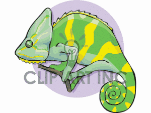 300x225 Chameleon Clipart Baby