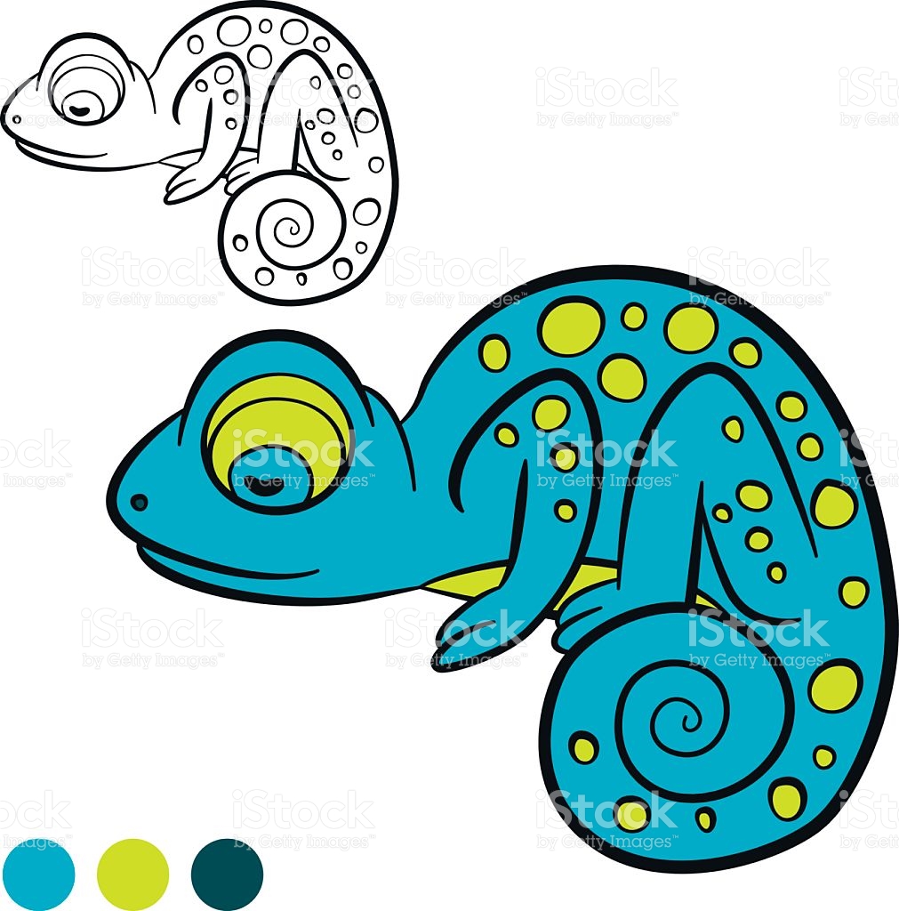 1011x1024 Chameleon Clipart Coloring Page