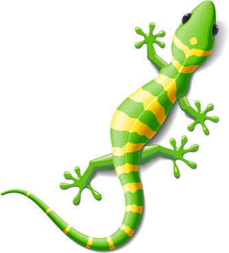 334x368 Chameleon Clipart Gecko