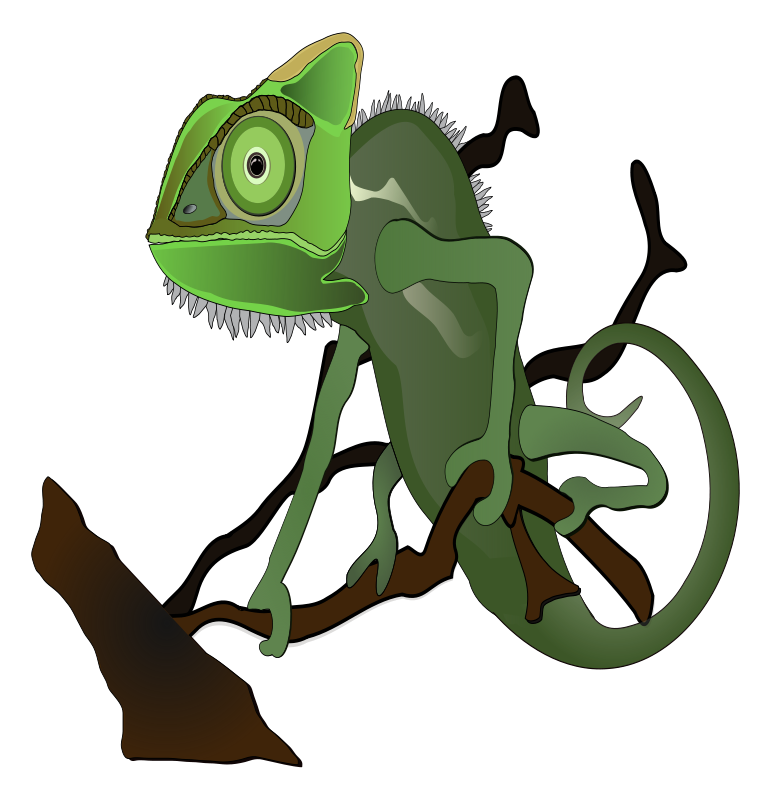 771x800 Rainforest Clipart Chameleon