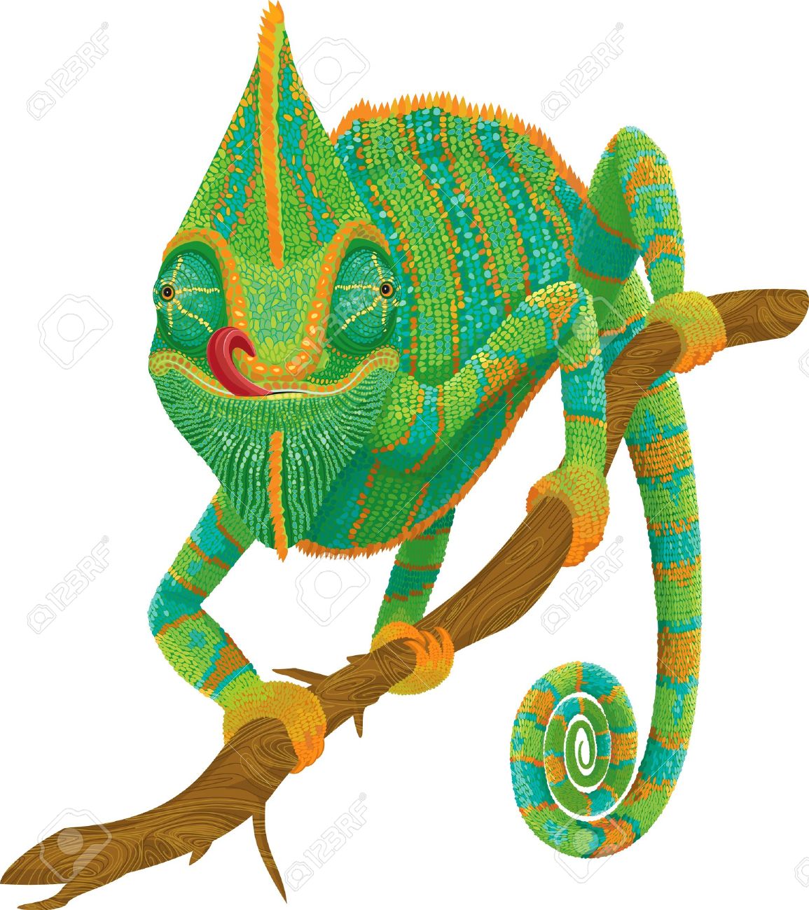 1155x1300 Top 85 Chameleon Clipart
