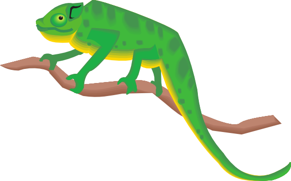 600x373 Chameleon On A Branch Clip Art