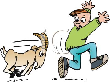 350x263 Chase Clipart Cartoon