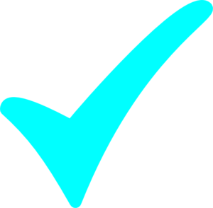300x294 Aqua Checkmark Clip Art