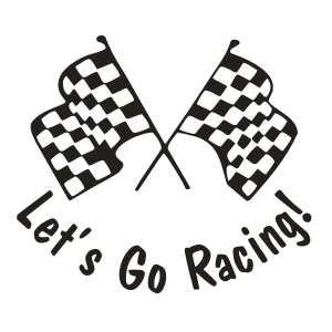 300x300 Skull Racing Checkered Flag 9 Self Adhesive Vinyl Sticker Decal