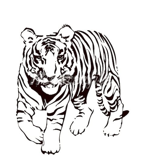 471x550 Tiger Clipart Black And White
