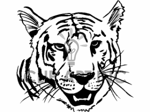 300x225 Tiger Face Clip Art Black And White Clipart Panda