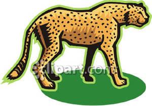 300x209 Top 68 Cheetah Clipart