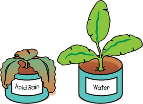 460x336 Acid Rain Chemical Clipart