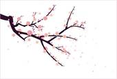 170x115 Cherry Blossom Clip Art