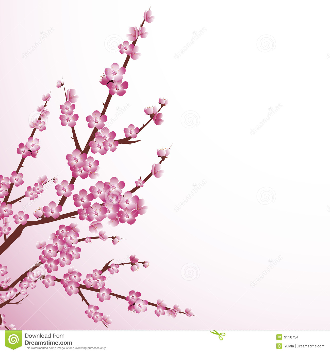 1300x1390 Cherry Blossom Stock Images