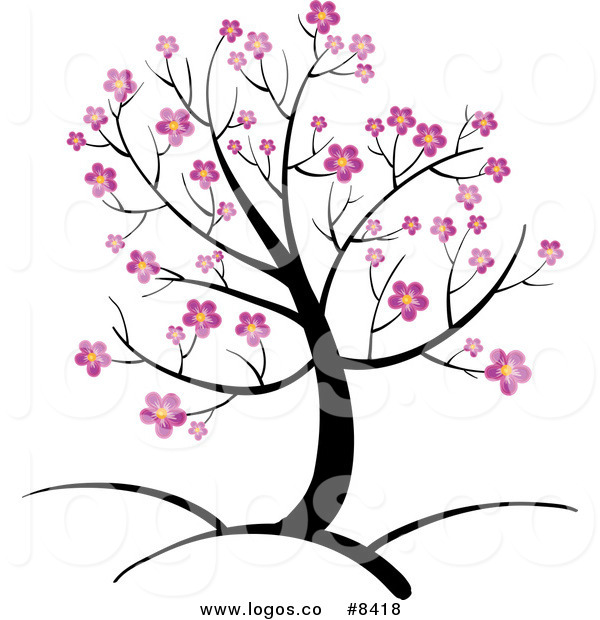 600x620 Cherry Blossom Tree Clip Art Free Clipart