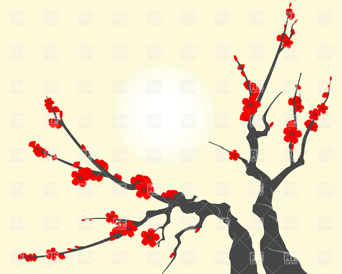 1200x960 Sakura Blossom Branch, With Cherry Flowers Royalty Free Vector