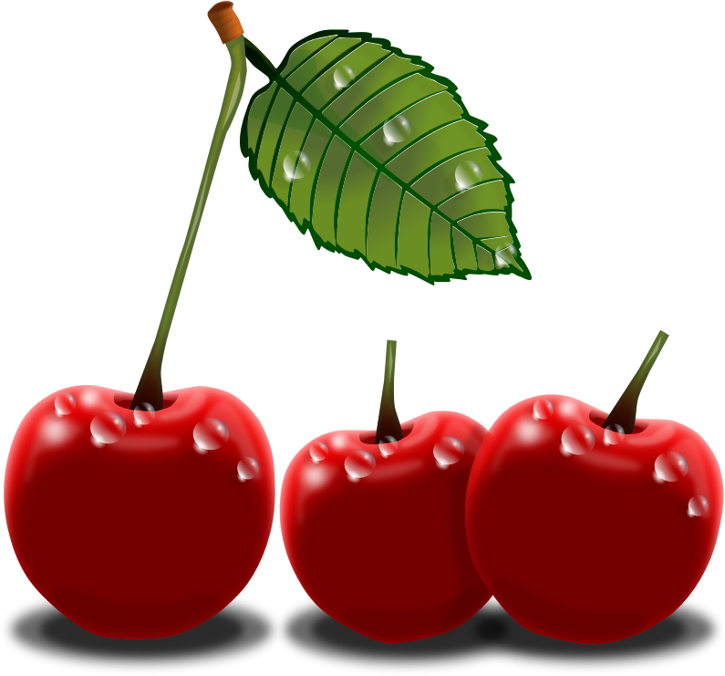 795x741 Cherry Plants Clip Art Image