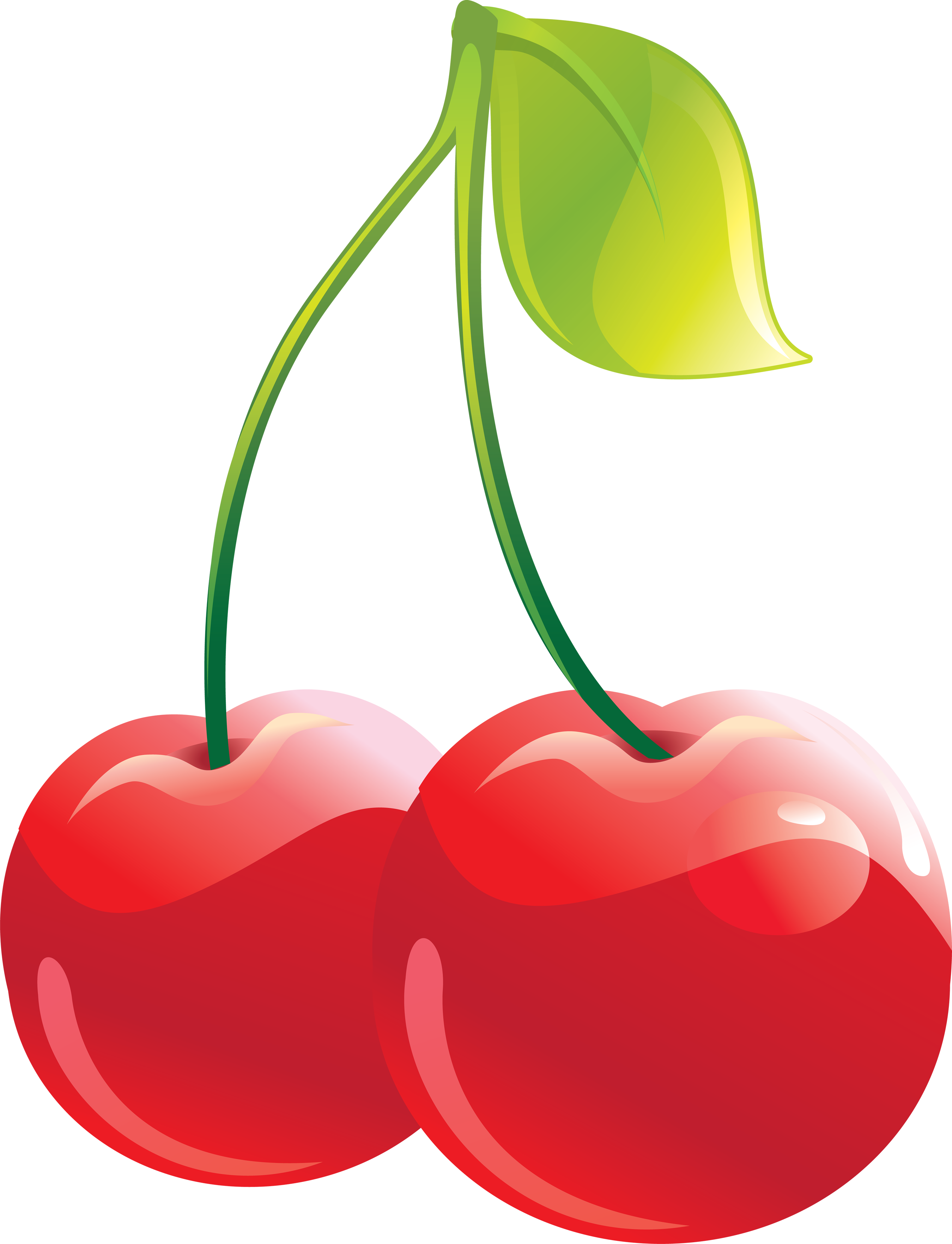 2699x3527 Best Cherry Clipart