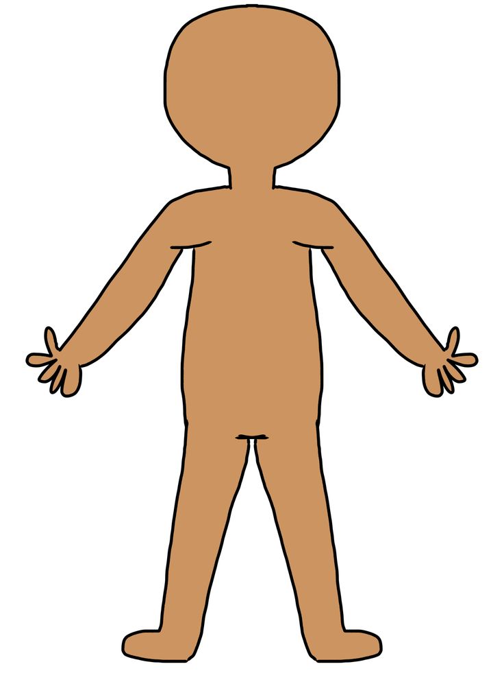 736x981 Body Chest Cliparts 182598