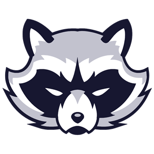 300x300 Racoon Clipart Face