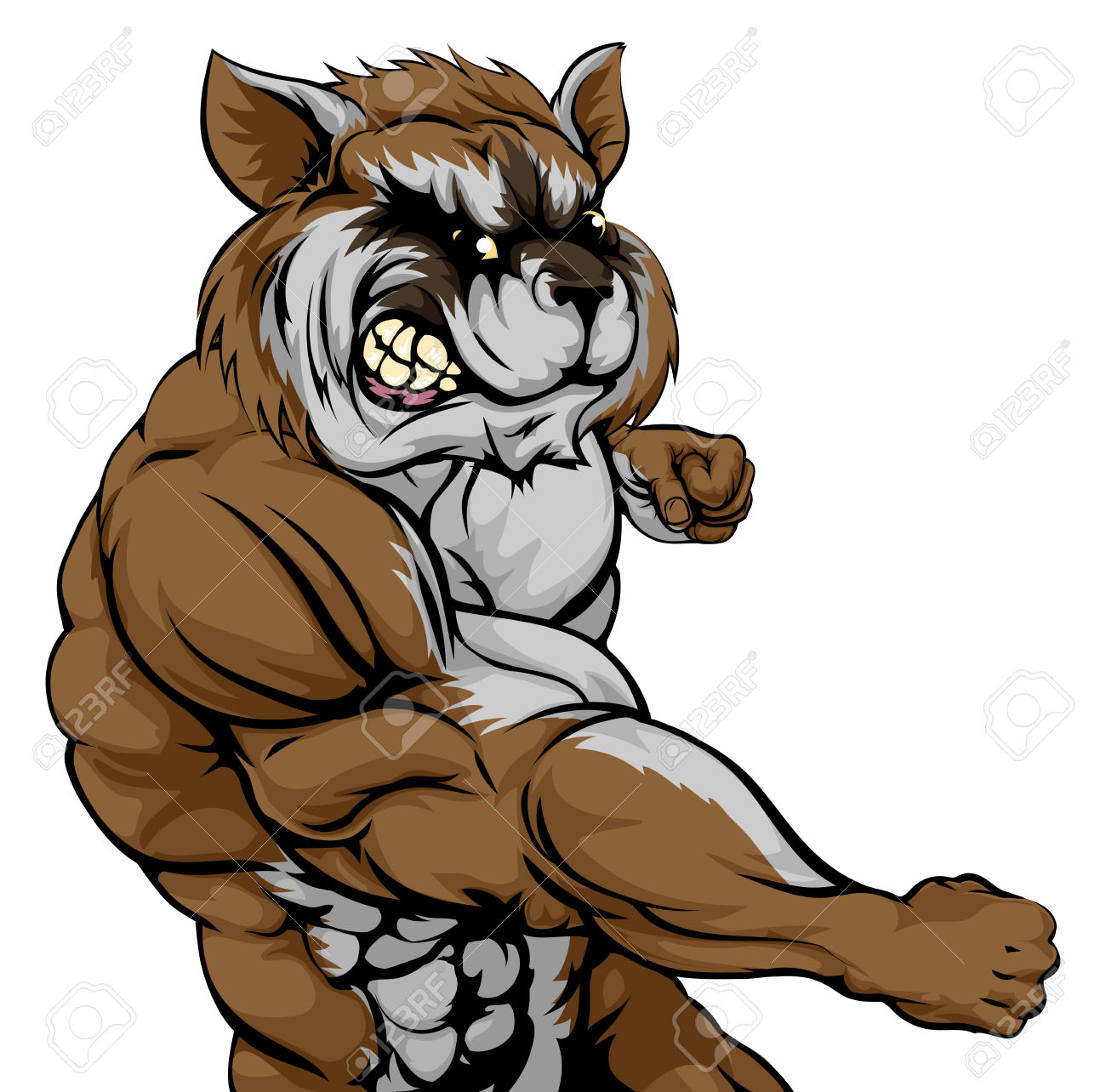 1300x1284 Raccoon Vector Clipart