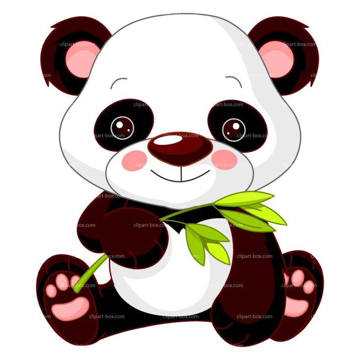 736x736 Cute Baby Panda Saying Hi Clipart