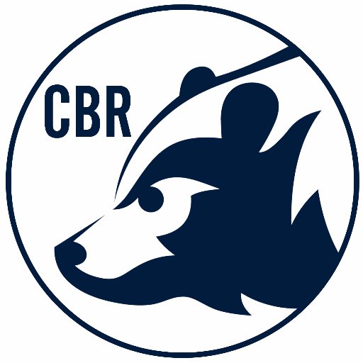 512x512 Chicago Bears Review (@chibearsreview) Twitter