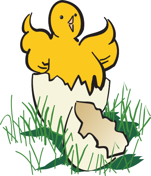 510x593 Baby Chick Hatching Clip Art