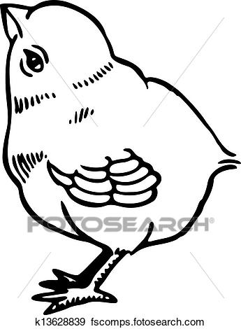 345x470 Stock Illustration Of Chick K13628839