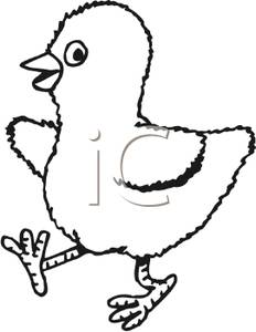 232x300 Baby Chicken Clipart Black And White