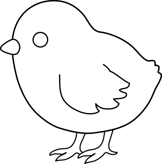 543x550 Cute Colorable Baby Chick