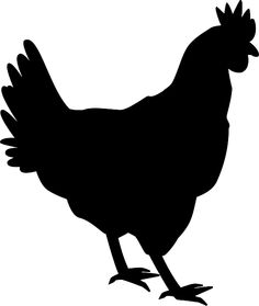 236x279 Chicken Hen Roosters Silhouette Silhouettes, Clip Art And Graphics