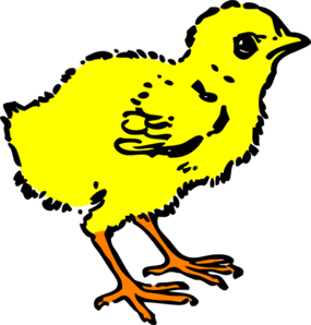 285x298 Chick Clipart Colorful