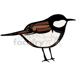 300x300 1804 Bird Clip Art Amp Graphics