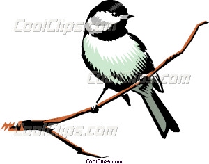 300x236 Chickadee Vector Clip Art