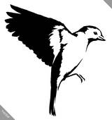 160x170 Clip Art Of Bird Black Capped Chickadee K14976278