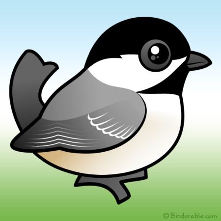 450x450 Meet The Cute Black Capped Chickadee By Birdorable