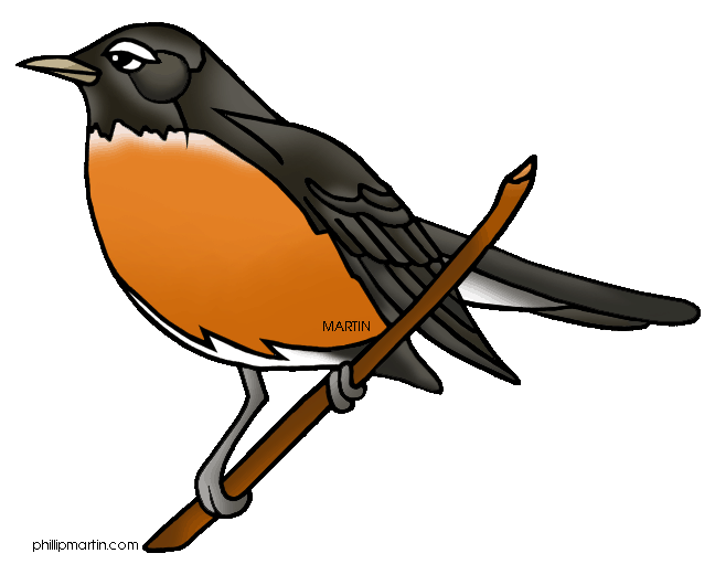 648x511 Songbird Clipart Robin